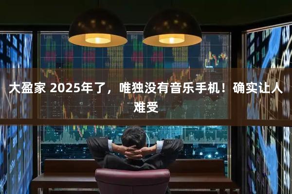 大盈家 2025年了，唯独没有音乐手机！确实让人难受