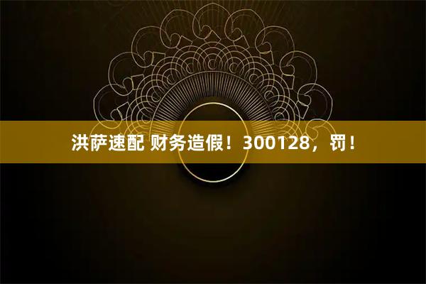 洪萨速配 财务造假！300128，罚！