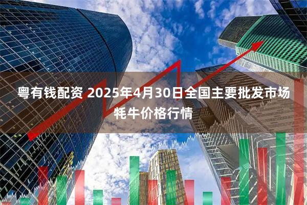 粤有钱配资 2025年4月30日全国主要批发市场牦牛价格行情