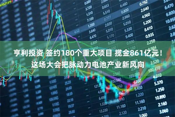 亨利投资 签约180个重大项目 揽金861亿元！这场大会把脉动力电池产业新风向