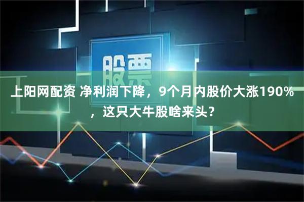 上阳网配资 净利润下降，9个月内股价大涨190%，这只大牛股啥来头？