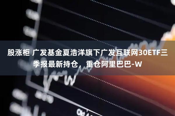 股涨柜 广发基金夏浩洋旗下广发互联网30ETF三季报最新持仓，重仓阿里巴巴-W
