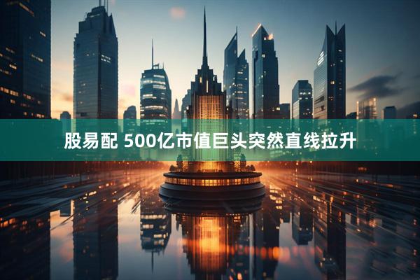 股易配 500亿市值巨头突然直线拉升